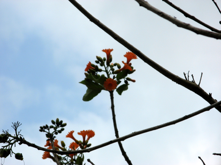 0704 becan 53.jpg